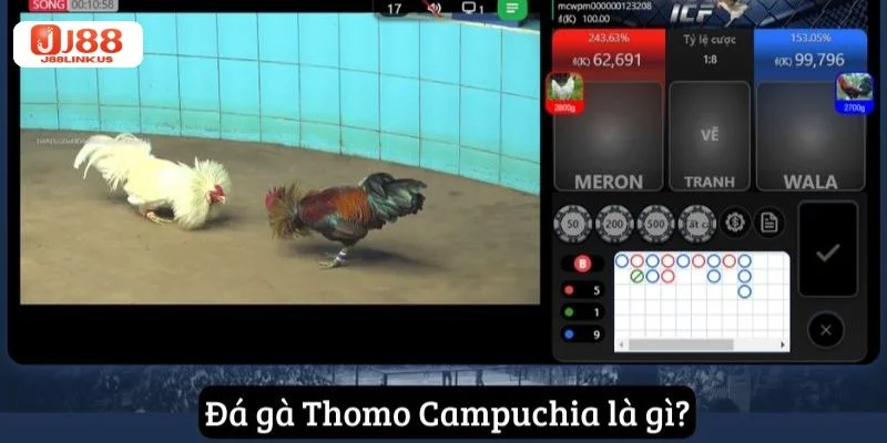 Đá Gà Campuchia: Sàn Đá Gà Ăn Tiền Đỉnh Cao Tại J88 Đá gà Campuchia là trường gà được nhiều người chơi yêu thích hiện nay.