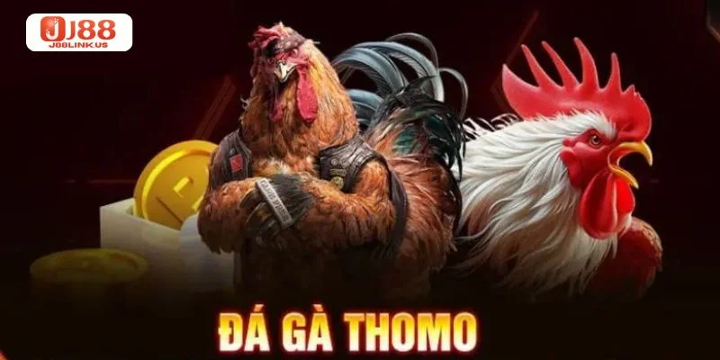 Đá Gà Thomo: Trực Tiếp Trường Gà J88 Với Kèo Chơi Cực Đỉnh