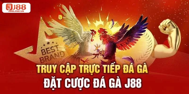 J88 BET Sảnh cược đá gà cực lôi cuốn và hấp dẫn.
