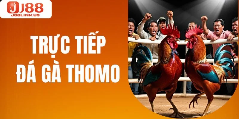 Những thông tin cơ bản về sảnh trực tiếp đá gà J88 dành cho tân thủ.
